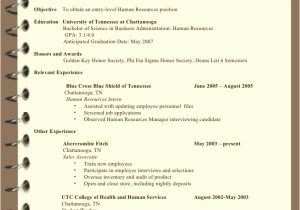 Suzy Q Student Resume Resume Writing Sb for Students