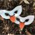 Swan Mask Template Diy Printable Swan Mask Template Kid 39 S Craft Little