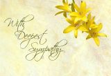 Sympathy Flower Card Messages Examples Stock Photo Sympathy Card Featuring Pretty Day Lilies On A