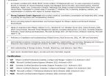 Systems Engineer Vmware Resume Sameer 39 S Vmware Wintel Systems Engineer Resume 04 2016