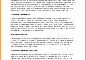 T Shirt Business Plan Template Free Business Plan Sample Pdf Of T Shirt Company Business