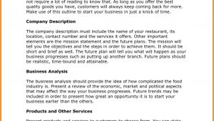 T Shirt Company Business Plan Template Business Plan Sample Pdf Of T Shirt Company Business