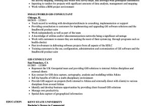 Talend Developer Sample Resume Spatial Data Analyst Job Description Medical Resume Best