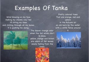 Tanka Poem Template Examples Of Tanka Poems