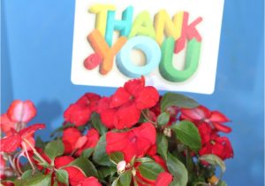 Teacher Appreciation Gift Card Flower Pot Geschenke Zur Einschulung Basteln 42 Diy Ideen with Images