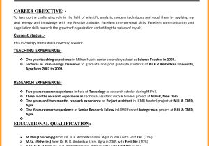 Teacher Job Application Resume 10 Cv format Teachers Job theorynpractice