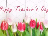 Teachers Day Lines for Greeting Card Happy Teachers Day with Tulip Flower Message for Teacher In