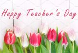 Teachers Day Message for Greeting Card Happy Teachers Day with Tulip Flower Message for Teacher In