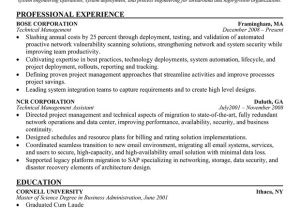 Technical Manager Resume Samples Paid Article Writing Custom Essay Writing Services