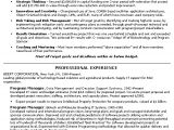 Technical Manager Resume Samples Technical Manager Resume Example