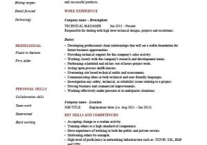 Technical Manager Resume Samples Technical Manager Resume Example Sample Project Manager