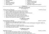 Technical Manager Resume Samples Technical Project Manager Resume Example Computers
