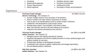 Technical Manager Resume Samples Technical Project Manager Resume Examples Free to Try