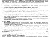 Technical Manager Resume Samples the Art Of Writing A Resume thespiritedreamer