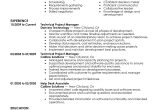 Technical Project Manager Resume Sample Best Technical Project Manager Resume Example Livecareer