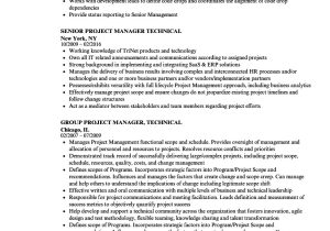 Technical Project Manager Resume Sample Project Manager Technical Resume Samples Velvet Jobs