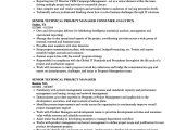 Technical Project Manager Resume Sample Senior Technical Project Manager Resume Samples Velvet Jobs