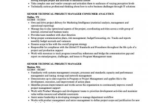 Technical Project Manager Resume Sample Senior Technical Project Manager Resume Samples Velvet Jobs