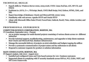 Technical Student Resume Information Technology It Resume Sample Resume Companion