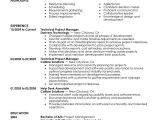 Technical Student Resume Technical Project Manager Resume Example Computers