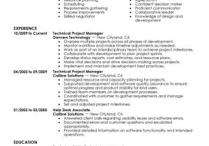 Technical Student Resume Technical Project Manager Resume Example Computers