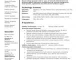 Technical Support Resume Samples It Technical Support Resume