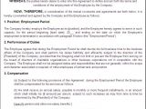 Temp to Perm Contract Template Free Printable Employment Contract Sample form Generic