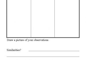 Template for Science Experiment Science Experiments Template thevillas Co