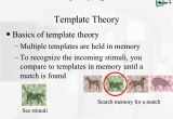 Template Matching theory Perception