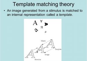 Template Matching theory the Cognitive Approach I History Vision and attention