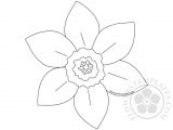 Template Of A Daffodil Printed Pattern Daffodil Flowers Templates