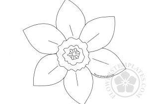Template Of A Daffodil Printed Pattern Daffodil Flowers Templates