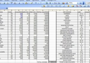 Templates by Vertex42.com Excel Spreadsheets Templates Excel Spreadsheet Template