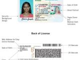 Tennessee Drivers License Template Driver License Card Examples