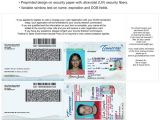 Tennessee Drivers License Template Driver License Card Examples