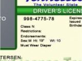 Tennessee Drivers License Template Drivers License Fake Drivers License Drivers License