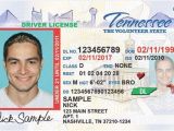 Tennessee Drivers License Template Tenn to Begin issuing Secure Driver 39 S Licenses Wrcbtv