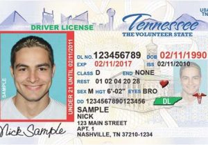 Tennessee Drivers License Template Tenn to Begin issuing Secure Driver 39 S Licenses Wrcbtv
