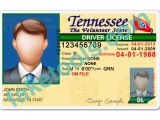 Tennessee Drivers License Template Tennessee Driver License Psd Template Buy Fake Id Template