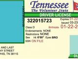 Tennessee Drivers License Template Tennessee Drivers License Editable Psd Template Download