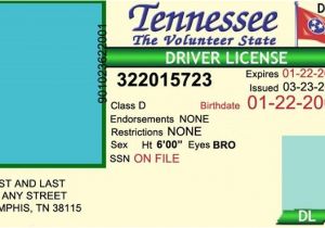 Tennessee Drivers License Template Tennessee Drivers License Editable Psd Template Download