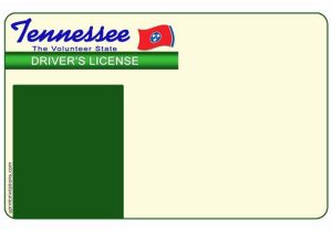 Tennessee Drivers License Template Tennessee Drivers License Template