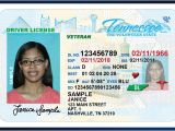 Tennessee Drivers License Template Texas Temporary Id Template Related Keywords Texas