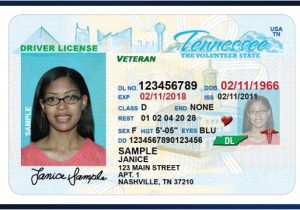 Tennessee Drivers License Template Texas Temporary Id Template Related Keywords Texas