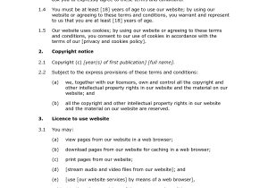 Terms and Conditions for Online Shop Template Online Shop Terms and Conditions Docular