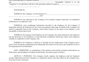 Terms and Conditions Of Employment Template 6 Sample Sales Employment Agreements Sample Templates