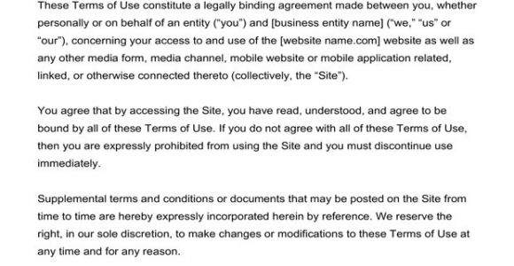 Terms and Conditions Template Ecommerce Free Terms Conditions Templates Downloadable Samples
