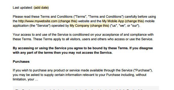Terms and Conditions Template for Online Shop 9 Terms and Conditions Samples Sample Templates