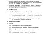 Terms and Conditions Template for Online Shop Online Shop Terms and Conditions Docular