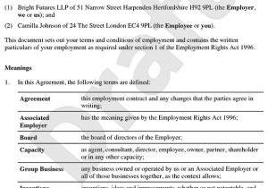 Terms Of Employment Contract Template Senior Employment Contract Executive Employment Agreement